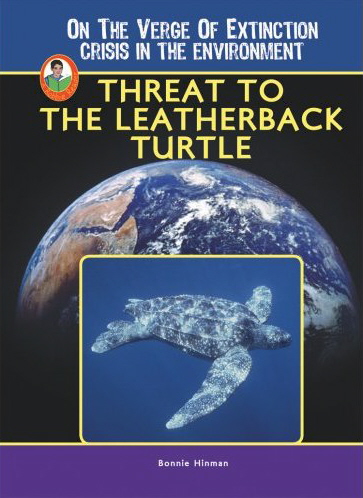 Leatherback Turtle Book